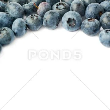 Bilberry or blueberry over isolated white background Stock Photos