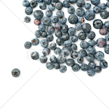 Bilberry or blueberry over isolated white background Stock Photos