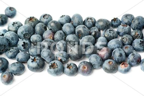 Bilberry or blueberry over isolated white background Stock Photos