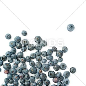 Bilberry or blueberry over isolated white background Stock Photos