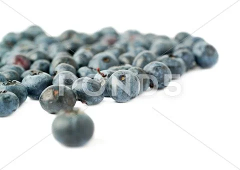Bilberry or blueberry over isolated white background Stock Photos
