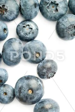 Bilberry or blueberry over white background Stock Photos