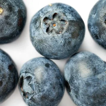 Bilberry or blueberry over white background Stock Photos