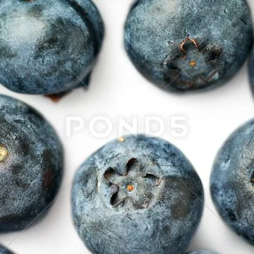 Bilberry or blueberry over white background Stock Photos