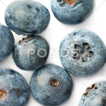 Bilberry or blueberry over white background Stock Photos