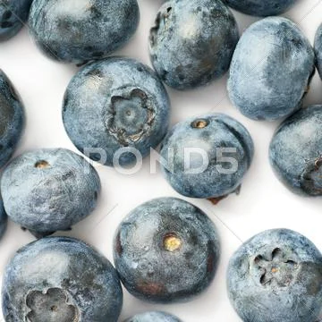 Bilberry or blueberry over white background Stock Photos