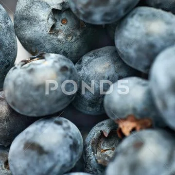 Bilberry or blueberry as texture background Stock Photos