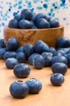 Bilberry Stock Photos