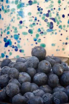 Bilberry Stock Photos
