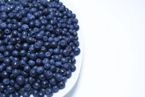 Bilberry Stock Photos