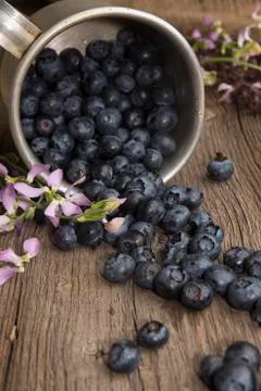 Bilberry on rustic table Stock Photos