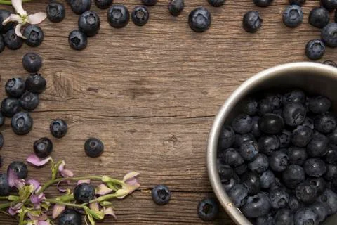 Bilberry on rustic table Stock Photos