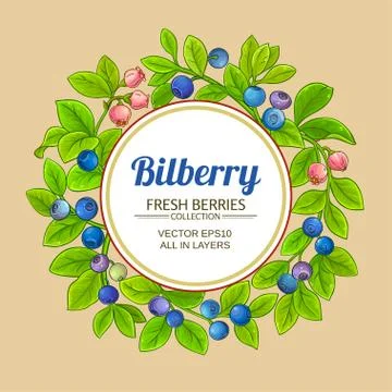Bilberry vector frame Stock Illustration