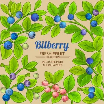 Bilberry vector frame Stock Illustration