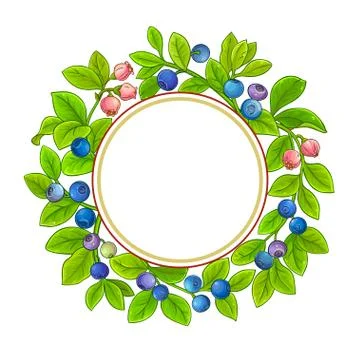 Bilberry vector frame Stock Illustration