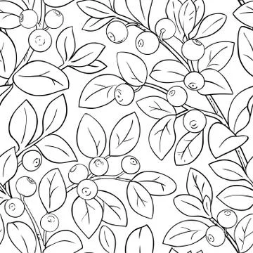 Bilberry vector pattern Stock-Illustration