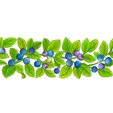 Bilberry vector pattern Stock Illustration