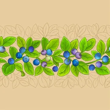 Bilberry vector pattern Stock Illustration