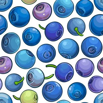 Bilberry vector pattern Illustrazione stock
