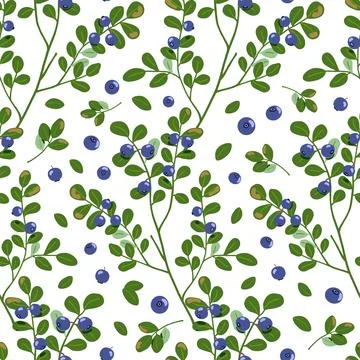 Bilberry vector seamless pattern. Northern blue forest berries background. Hand Illustrazione stock