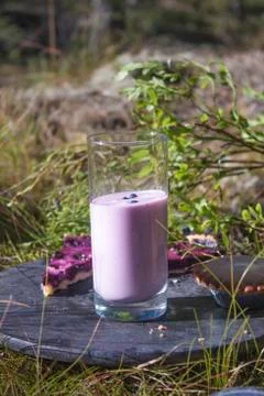 Bilberry yoghurt Stock Photos