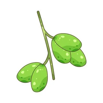 Bilimbi Stock Illustration
