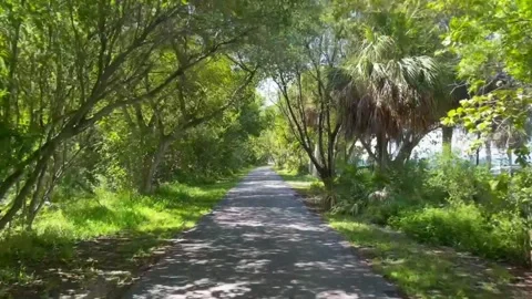 Bill baggs florida state park Stock Footage 158418013