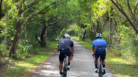 Bill baggs state park trail Stock Footage 162286070