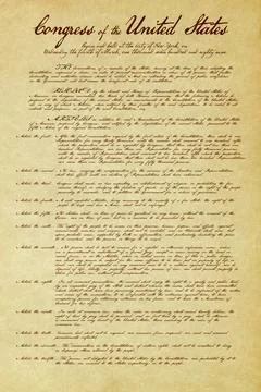 Bill of Rights Recreation Document Stock Illustration