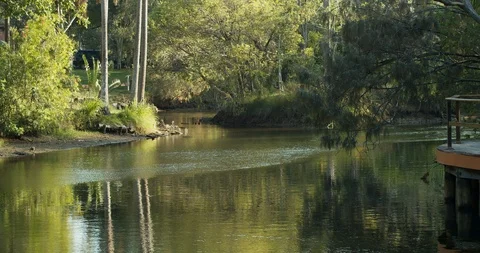 Billabong Stock Footage 119634420