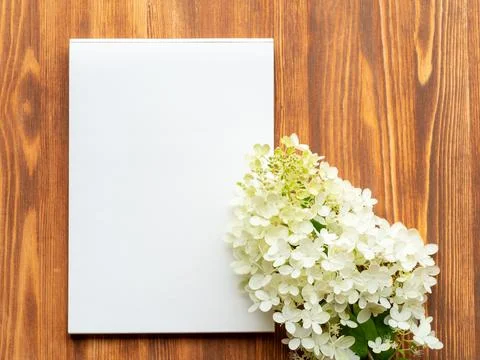 Billboard with blank sheet for notes and white flower hydrangeain abstract .. Stock Photos
