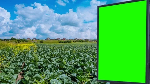 Billboard green screen in the field Stock-Footage 86622942