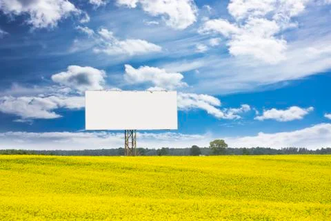 Billboard in rapeseed field Stock Photos