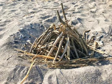 Billet for the fire on the beach Stock Photos