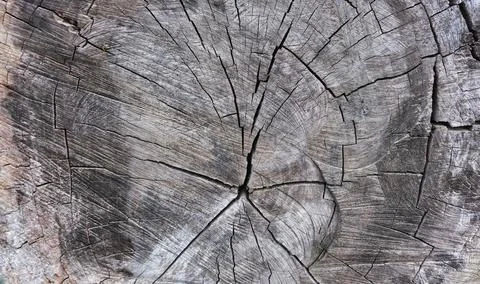 Billet surface. Background Stock Photos