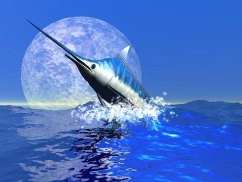 Billfish Stock Illustration