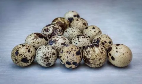 Billiards Quail Eggs Stock Photos