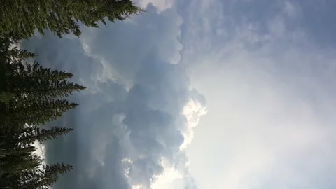 Billowing grey-blue storm clouds in this vertical time lapse video above trees Stock Footage 204862339