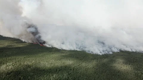 Billows of smoke from a wildfire Stock Footage 247482346