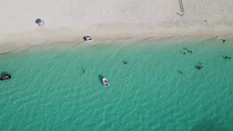 Bimini Beach crystal water Stock Footage 232437180