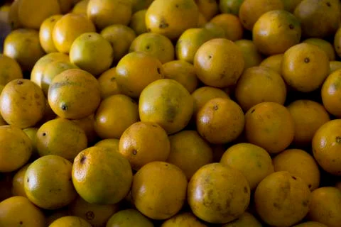 Bin full of oranges Stock Photos