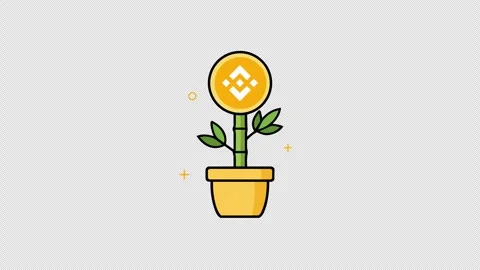 Binance BNB Crypto Money Tree Growth Animation Stock Footage 340490852