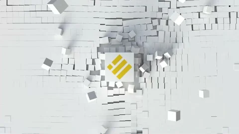 Binance USD Stock Footage 165499615