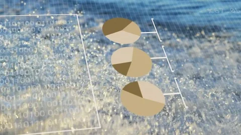 Binary box fading in, pies aligning, labels stacking, donut rotating, Stock Footage 333925480