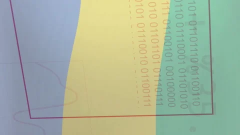 Binary code and data charts animation over Gabon flag background Stock Footage 313095510