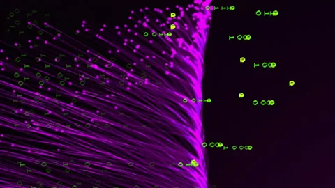 Binary code and data flow over purple fiber optic strands Stock Footage 312675094