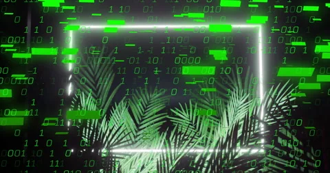 Binary code and data processing animation over tropical palm leaves Stock Footage 305816435