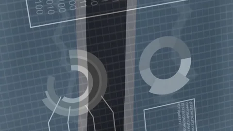 Binary code and data processing animation over Botswana flag and technical grid Stock Footage 312906478