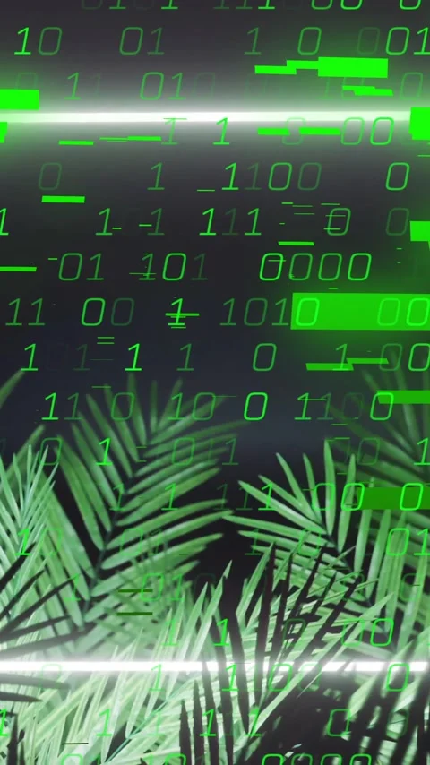 Binary code and data processing animation over tropical palm leaves Stock Footage 320093682