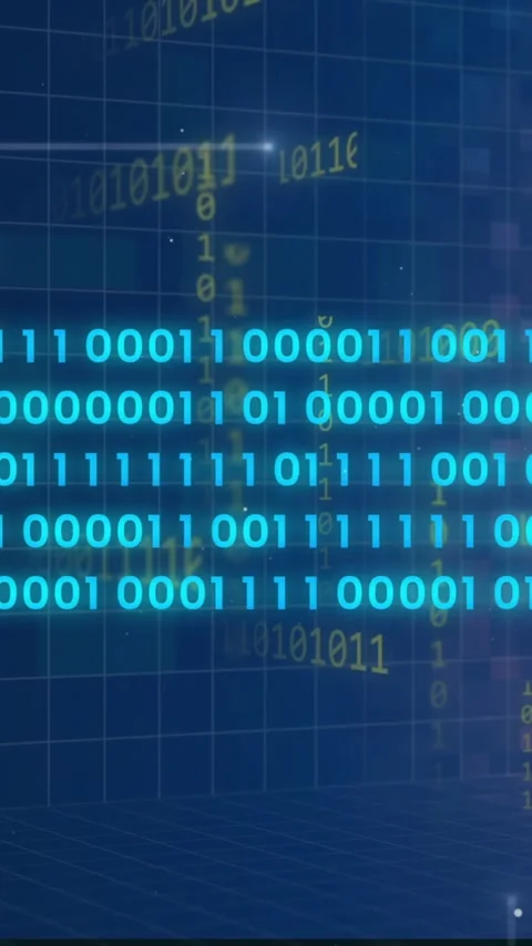 Binary code and data processing animation over digital grid background Stock-Footage 342954268